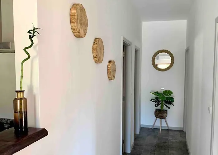 Casa Mira Tamega 別荘 *